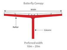 Butterfly Canopy