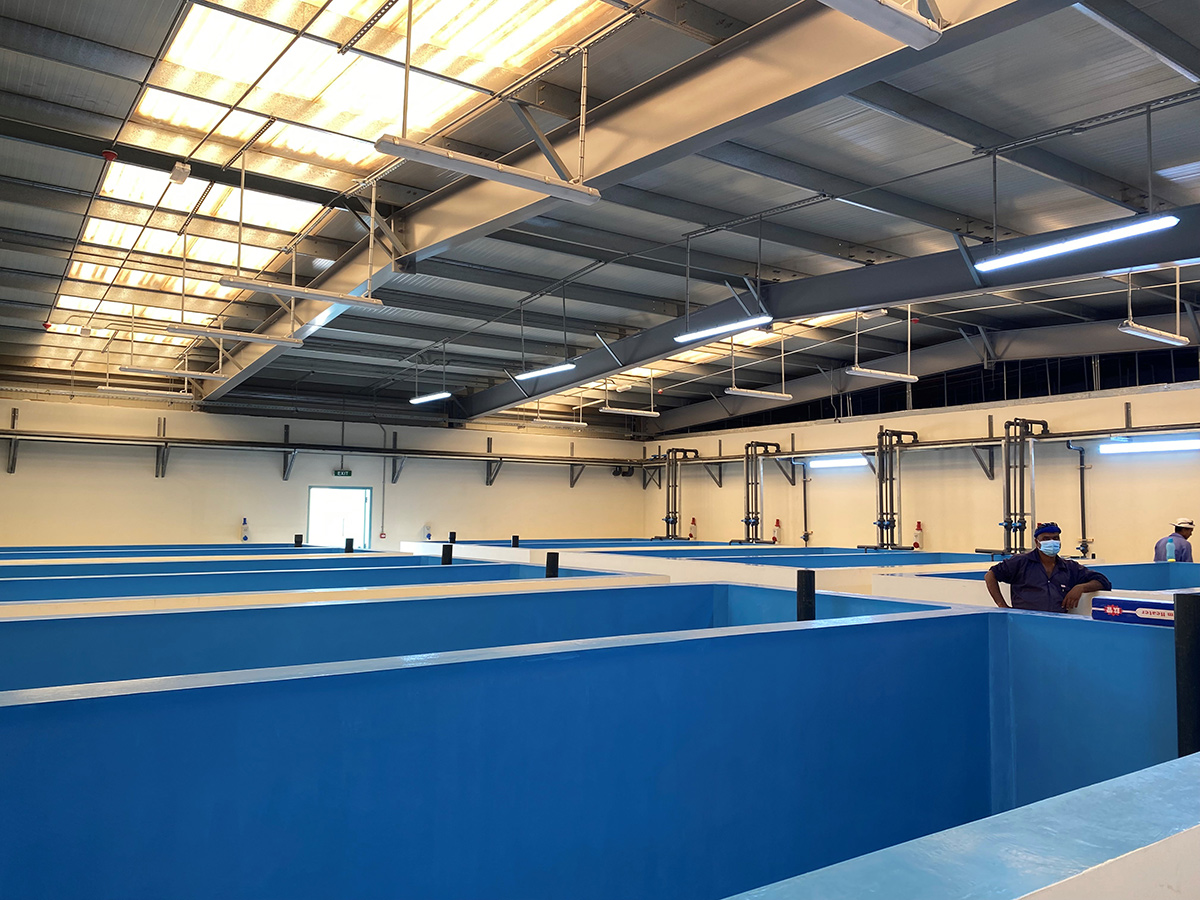 MUSTAFA & KAMAL ASHRAF TRADING & CONTRACTING CO